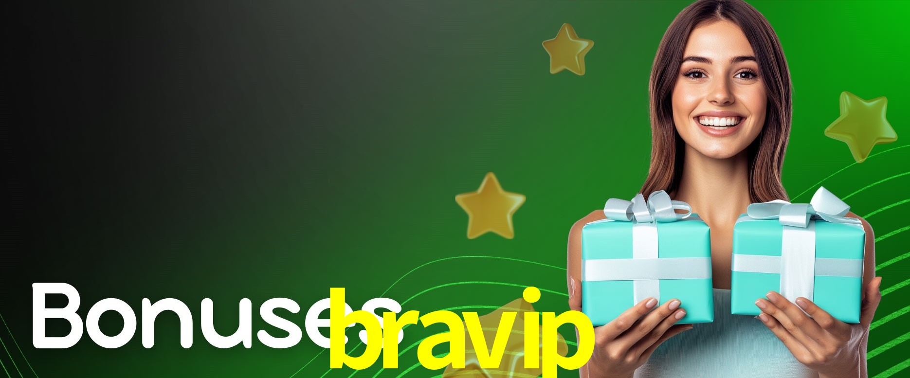 Security Systems bravip
